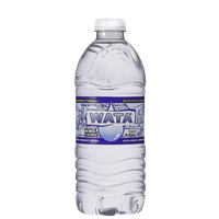 Water, 24/600ml Wata