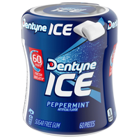 Gum Peppermint Ice, 24/60ct Dentyne