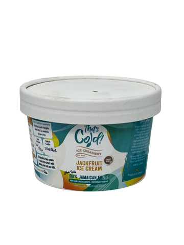 Jackfruit Dairy Free Ice Cream, 10/8oz That's Cold Creamery