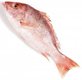 Snapper Red Whole Gutted Gilled Scaled IVP, 1-2lb Std 11.34kg