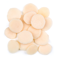 Water Chestnuts Sliced, 6/#10