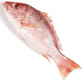 Snapper Red Whole Gutted, 0.5-1lb Avg 27.22kg